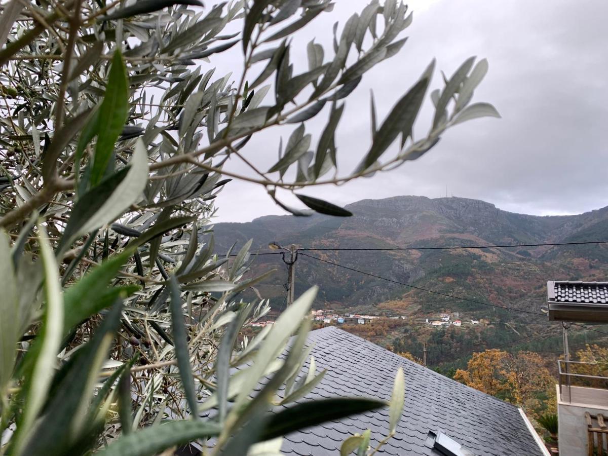 Casa Do Julien Mountain Experience Βίλα Vila Real Εξωτερικό φωτογραφία
