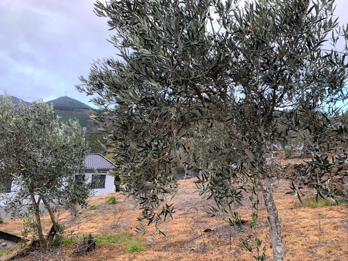 Casa Do Julien Mountain Experience Βίλα Vila Real Εξωτερικό φωτογραφία